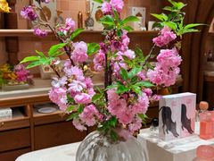 -BEAST野兽派(上海浦东嘉里城店)