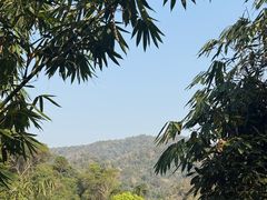 -野象谷景区
