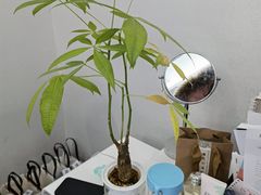 -牙博士口腔品牌连锁(杨浦店)