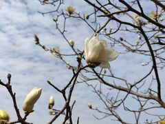 -中国移动南方基地