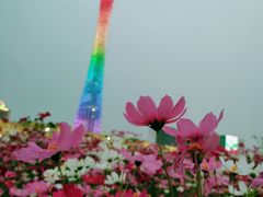 -海心沙亚运公园