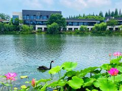 -上海怡沁园度假酒店