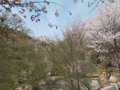 -崂山巨峰游览区
