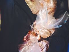 -汤姆熊欢乐世界(莘庄龙之梦店)