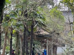 -上海植物园-4号门售票处