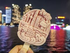 -黄浦江游览(十六铺码头)