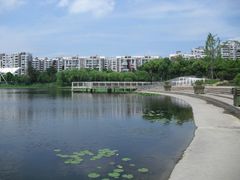 -新江湾城公园