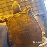 养颜必须吃甲鱼🌷大连甲鱼专营店收藏起来❗️