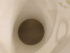 -水平有限螺蛳粉(宏达大厦店)