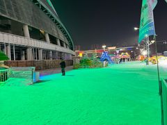 -沈阳奥体冰雪嘉年华