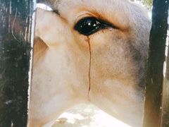 -泉州海丝野生动物世界