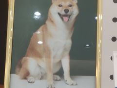 -天真蓝照相馆(中华广场店)