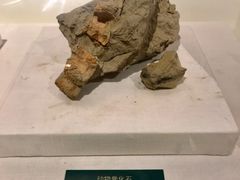景点-王府井古人类文化遗址博物馆