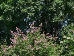 -杭州城北体育公园