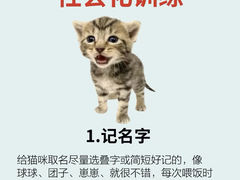 -lincat·猫舍(广州店)