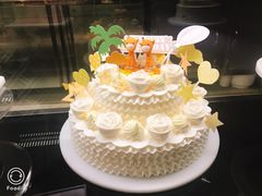 -蒲公英(五里店)