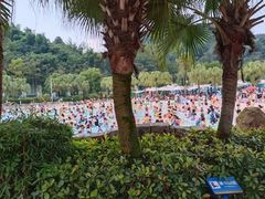 -重庆海昌加勒比海水世界