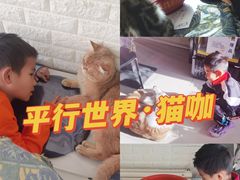 -平行世界·猫咖(首经贸店)
