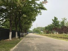 -永定河休闲森林公园