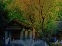 -杭州植物园