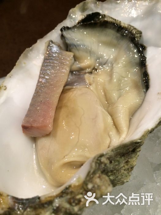 荷兰哈林鱼搭配生蚝