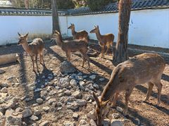 -观唐（国际）度假村温泉