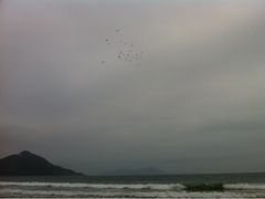 -西涌国际滨海旅游区