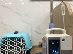 -伟伟宠物医院·CT影像中心·瑞派犬猫综合性门诊(汉口总院)
