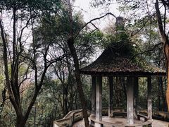 -赭山公园