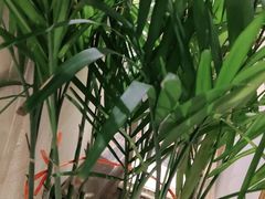 -白氏兄弟烧烤(尹家沟店)