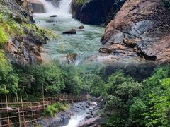 -广州白江湖森林公园