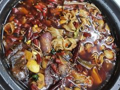 -德优正宗川菜馆