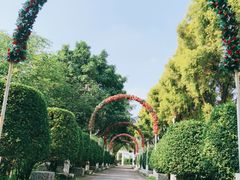 -广东花都香草世界旅游度假区