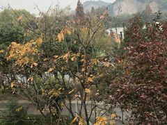 -绍兴鉴湖君澜大酒店