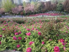 -陕西自然博物馆