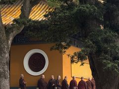-普济寺素斋