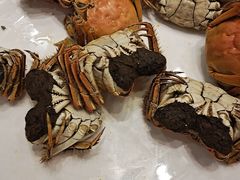 -高老庄新家宴(北斗星广场店)