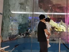 -帝企鹅自助餐厅•儿童岛•真企鹅(长隆企鹅酒店)