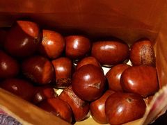 -小宝栗子(西安道店)