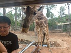 -清迈夜间动物园