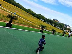 -大连铭湖国际观光牧场