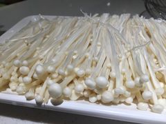 -古乐牛香·鲜牛肉牛杂火锅(新区店)