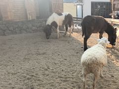 -HERRE·FARM 赫尔露营农场·团建聚会包场