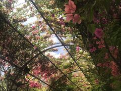 -The Grounds of Alexandria