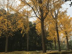 -苏州河梦清园环保主题公园