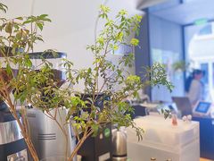 -Seesaw Coffee(上生新所店)