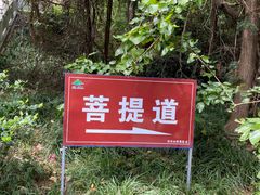 -冶父山国家森林公园