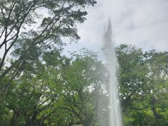 -九龙公园
