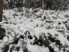 -长辛店二七公园