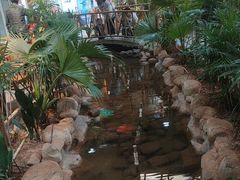 -庭苑饭香·生态餐厅(动物园店)
